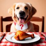 Golden Retriever sitting at a table with a cooked chicken drumstick, illustrating the question 'Can dogs eat chicken?'