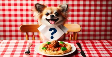 Chihuahua sitting at a table with a pasta dish, illustrating the question 'Can dogs eat pasta?'